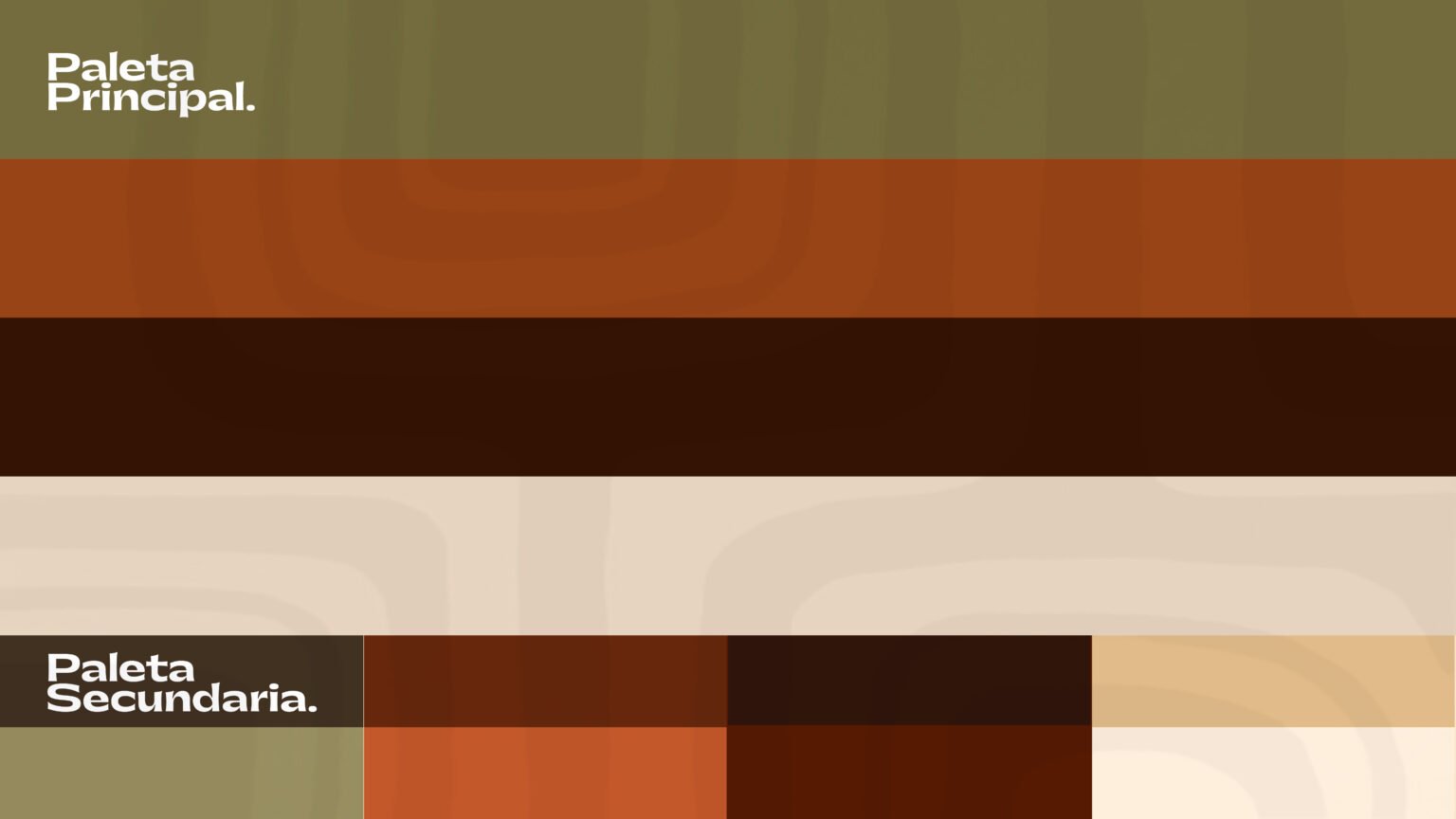 paleta de coresjpeg